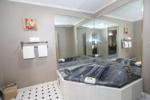 SureStay Plus Hotel by Best Western Lexington - image 13