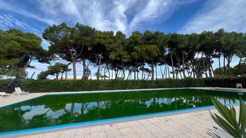 Costa Verde