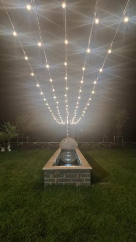 Agriturismo Bisenzio