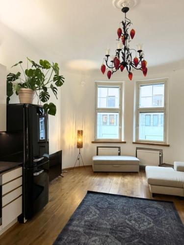 HAKANIEMI luxury apartment Helsinki center, 24h check in in Hakaniemi