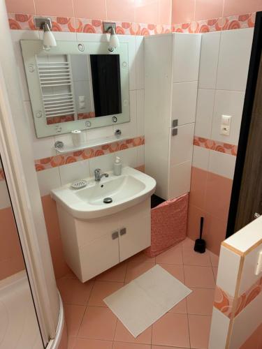 Apartman u Areny NMnM in Nove Mesto Na Morave