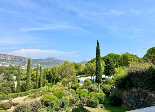 Surrounding environment, La Mediterranee comme vous l'aviez revee in Saint-Raphael