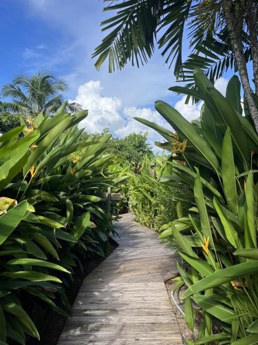 Eden Paradise Spa Ecolodge, Sainte-Luce