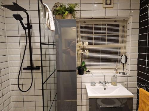 Trinity Cottage 2 bed with mezzanine, Dublin (fotografie 3)