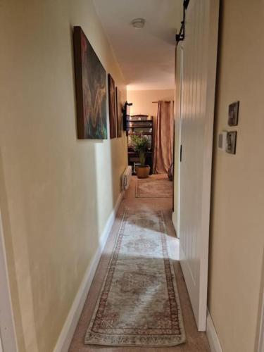Trinity Cottage 2 bed with mezzanine, Dublin (fotografie 10)