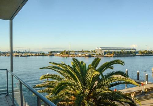 Boardwalk on Honeysuckle