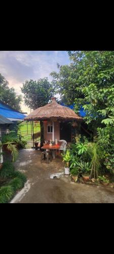 設施, Wildflow jungle yoga safari and homestay in 梅格好利