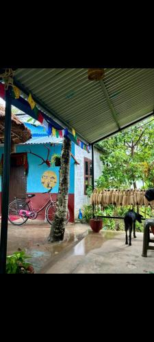 設施, Wildflow jungle yoga safari and homestay in 梅格好利