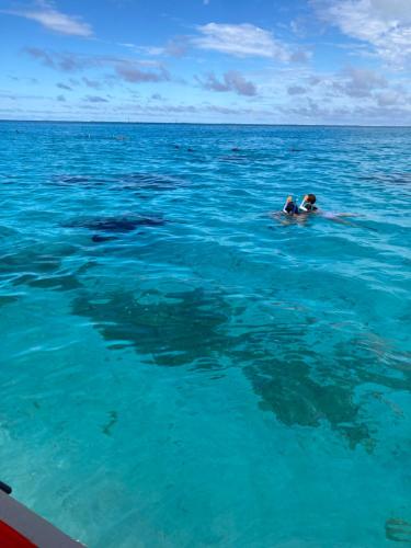 Maupiti Pension Taputea in 마우피티 섬