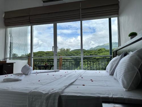 Double Room with Mountain View room in Varsity Villa