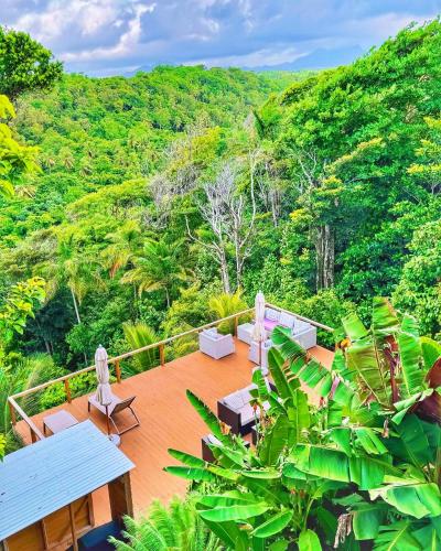Apkārtne, Blue Whale Villa - Penthouse in Calibishie