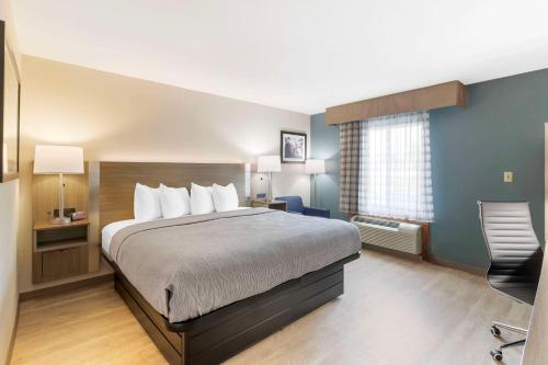 1 king bed, 1 sofa bed