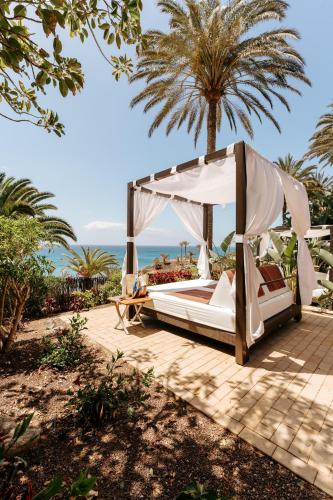 Garten, R2 Rio Calma in Fuerteventura