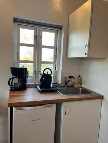 Auszeit im Grünen, Fårvang (Foto 3)