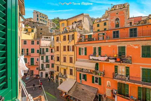 Casa Isolda, Terre Marine, Riomaggiore (foto 10)