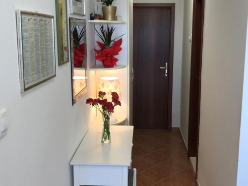 Apartment City Walk ST - Comfort One Bedroom Apartment with Balcony and City View A2