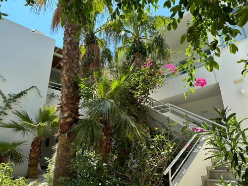 Hotel Plakures 5