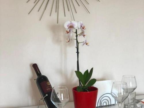 One bedroom apartment with terrace