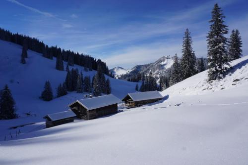 Stadlerhof in 弗拉斯多夫
