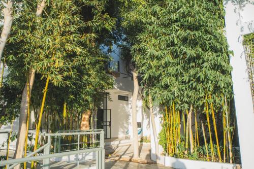 Villa Le Belvedere Villa Le Belvedere