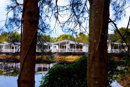 Exterior view, Discovery Parks - Byron Bay in Byron Bay