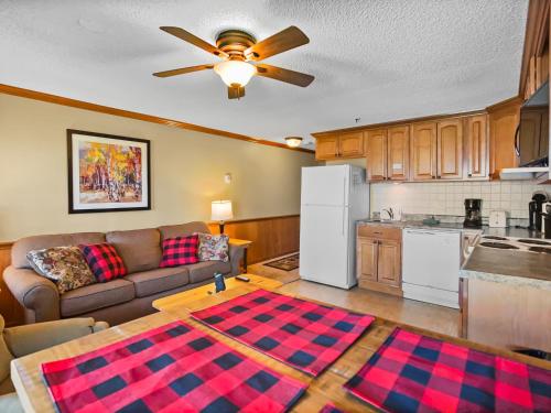 ML228 Relax And Reset In The Mtn Air Great Views WiFi in Snowshoe, USA