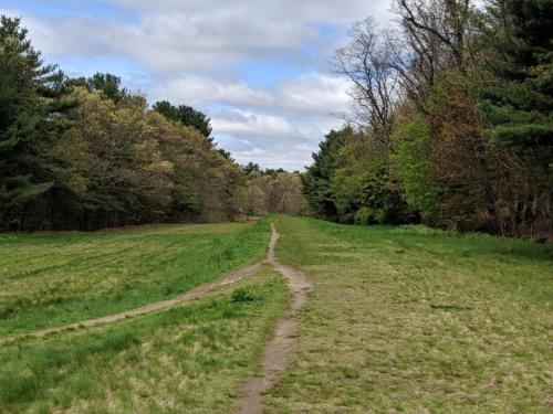 Spacious 4 bedroom home with large yard in Natick (MA)