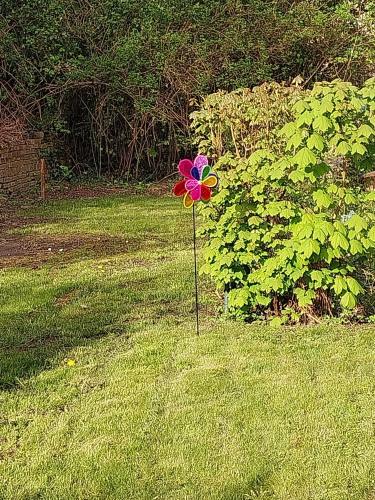 ทัศนียภาพ, Ferienwohnung I in Sulzbach 5 Min bis Augenklinik in ซัลซ์บาค