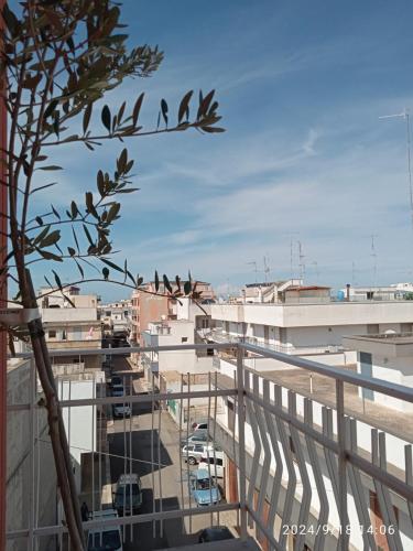View, Appartamento 42 in Noicattaro