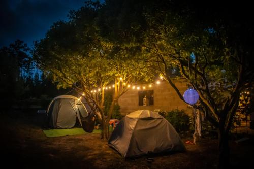 Tent Lobo gîte à louer Granja