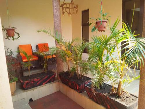 Θέα, Palm Star Motel in Φορτ Πόρταλ