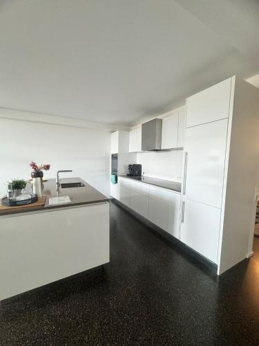 köök, Isaak Appartment Stadtjuwel in Waldshut-Tiengen