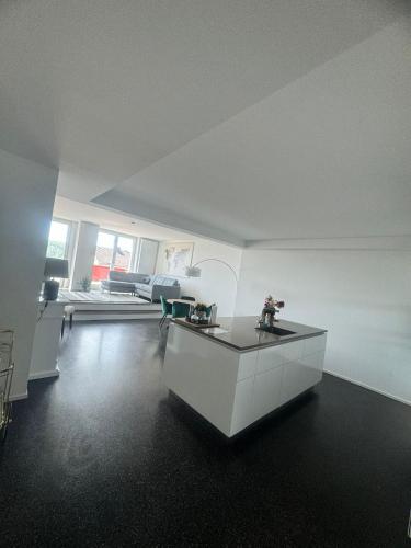 köök, Isaak Appartment Stadtjuwel in Waldshut-Tiengen
