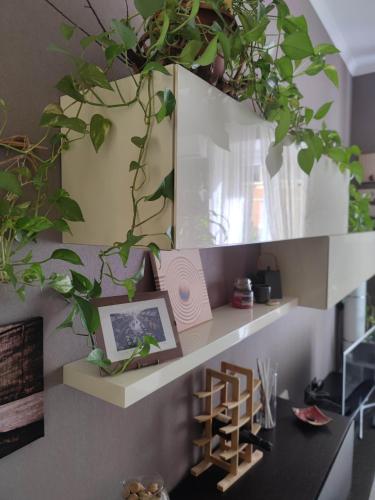 Dalla Spiaggetta a Quinto