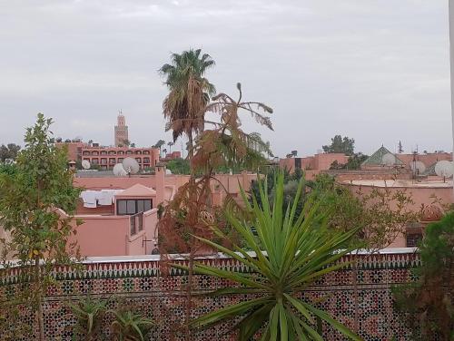 Falafel Rooftop House Marrakech