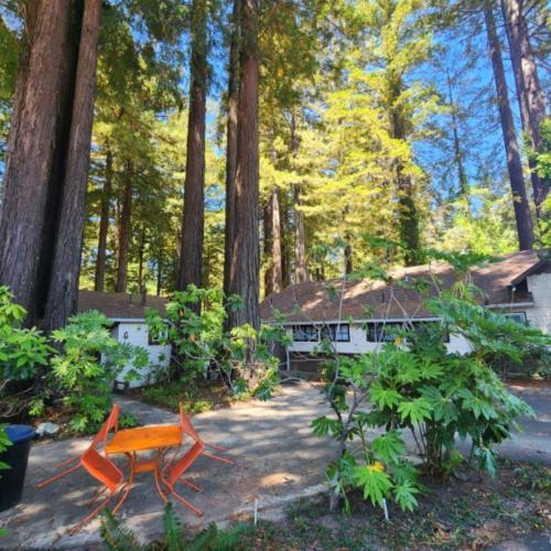 Miranda Gardens Resort Miranda Gardens Resort