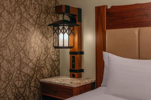 High Peaks Resort - image 4