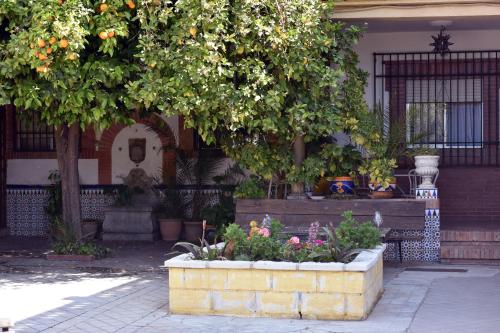 Carmen de la Lana, Granada (photo 8)