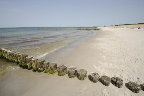 Susewind, Warnemünde (photo 7)