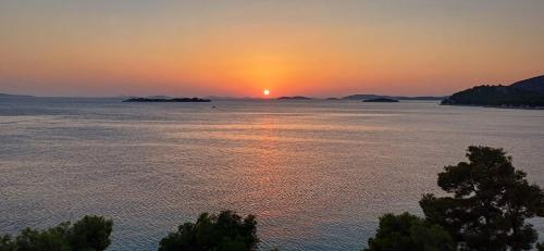 Apartments by the sea Tribunj Vodice - 2993 - image 7