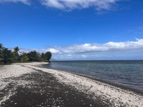 TAHITI - Mango Lodge Matie in Papara