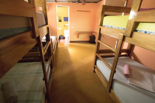 1 bunk bed