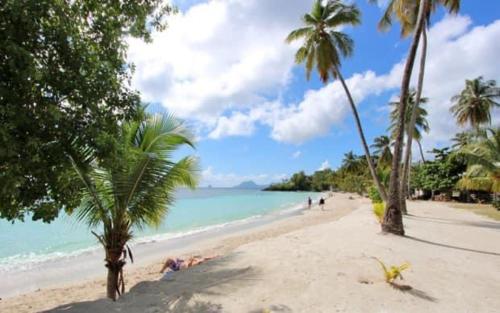 Cozy appartement à 5 min de Anse Figuier Cozy appartement à 5 min de Anse Figuier