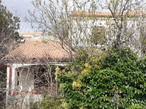 Hotelli välisilme, Apartments Rudi - One Bedroom Apartmen with Terrace and Sea View in Smokvica Krmpotska