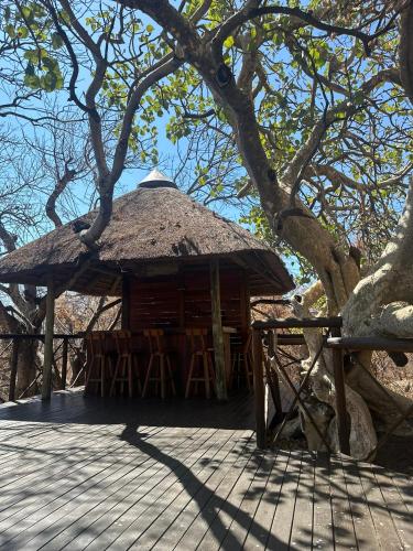 Bar/Lounge, Rockfig Tented Camp in Beestekraal