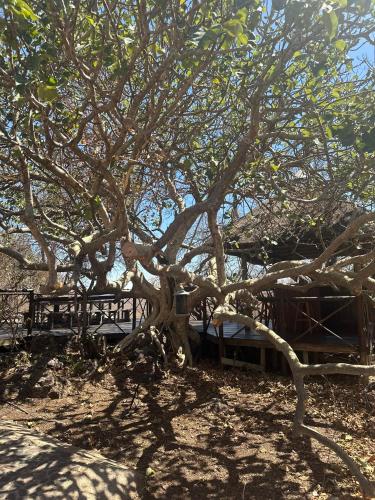 บริการและสิ่งอำนวยความสะดวก, Rockfig Tented Camp in เบสเตคราล