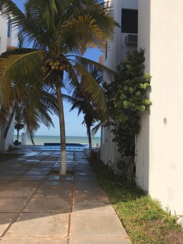 Villa Lulu in Chicxulub, Mexico