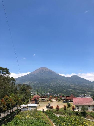 Villa RR seroja in Dieng Kulon