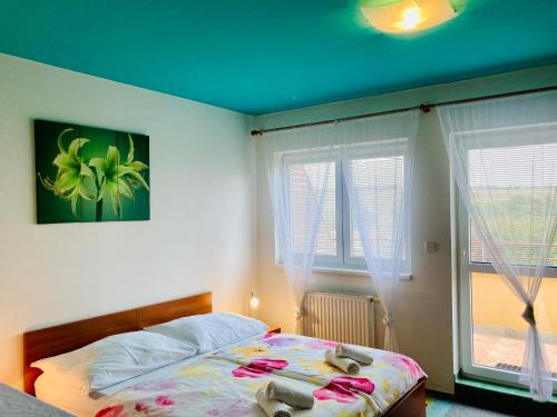 Apartmány, Penzion, Wellness U zlaté rybky 3
