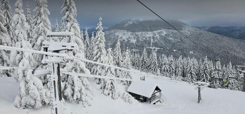 ทัศนียภาพภายนอกโรงแรม, Hostel Fortuna in สปินเดิลรูฟ เมลิน